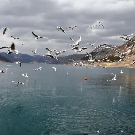 Gasthof Guesthouse Bakarac