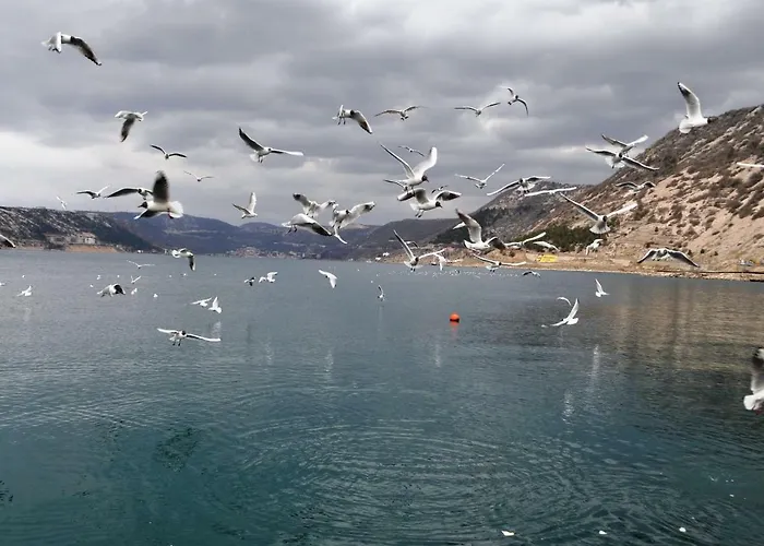 게스트하우스 Guesthouse Bakarac